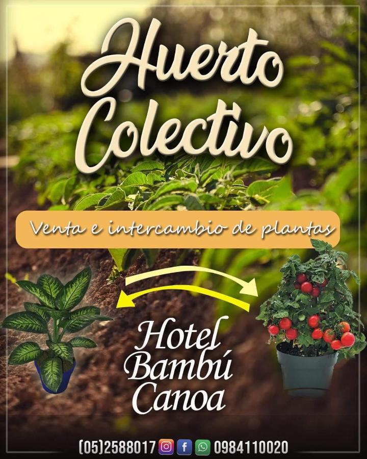 Hotel Bambu Каноа Экстерьер фото